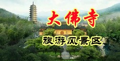 草少妇黑逼中国浙江-新昌大佛寺旅游风景区